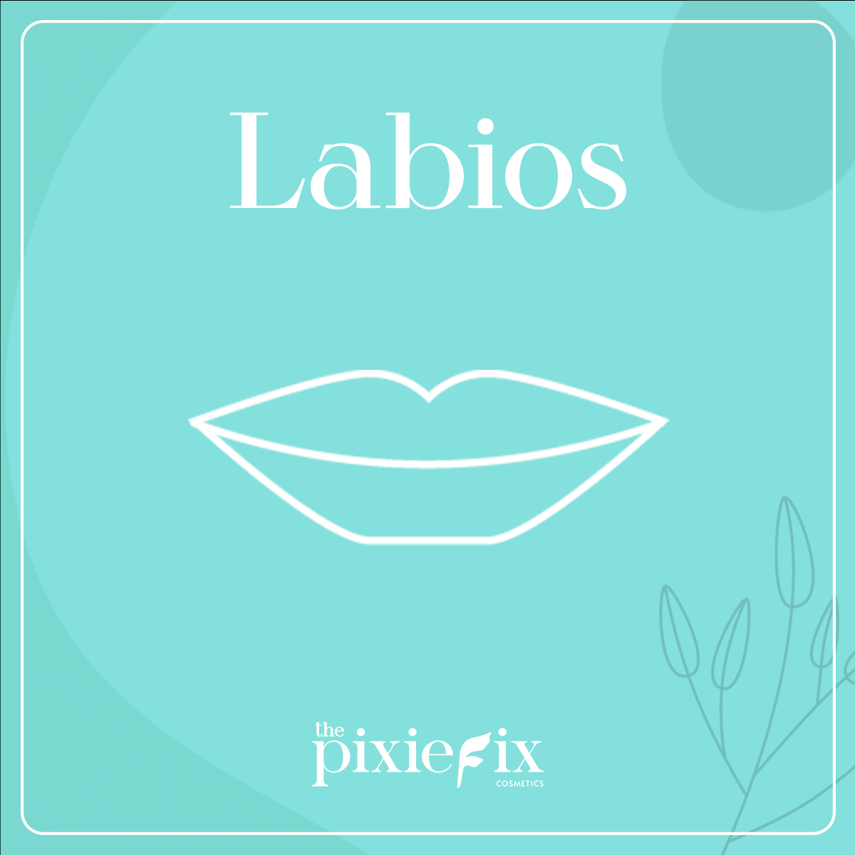 Labios